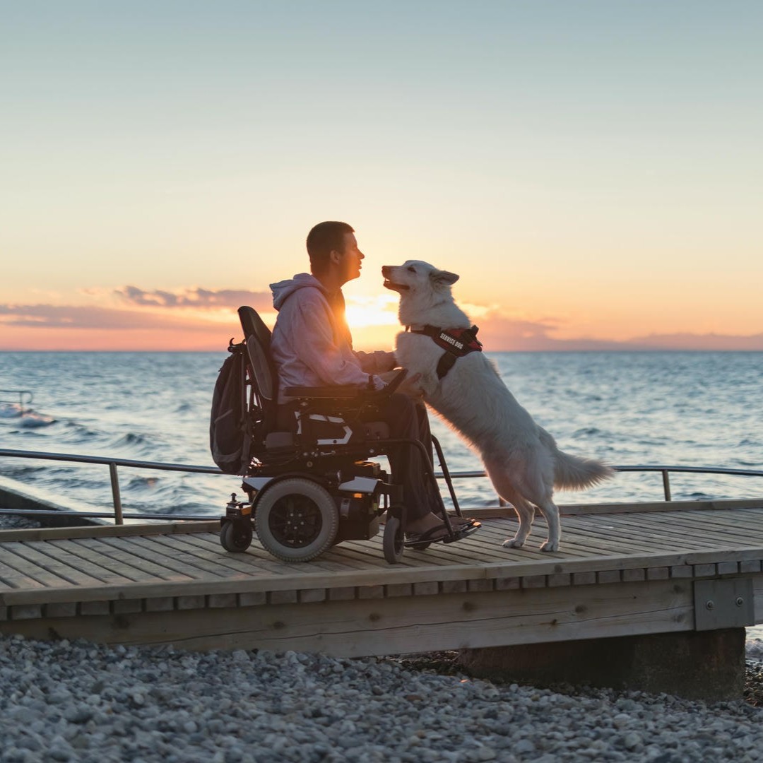 La photo montre un homme en fauteuil roulant dont le chien d'assistance saute en l'air et pose ses pattes sur ses genoux. Ils sont sur un ponton, sur une plage de pierres, la lumière du soleil couchant est juste entre les deux.